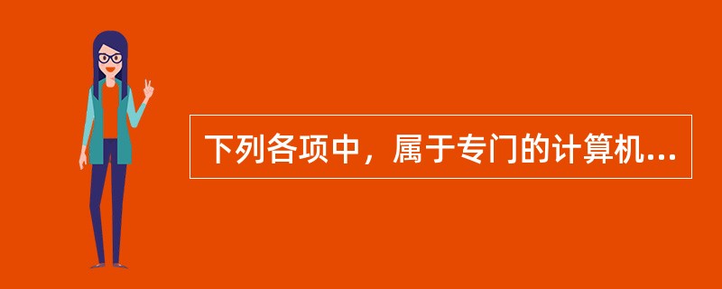 下列各项中，属于专门的计算机审计技术方法的是：</p>