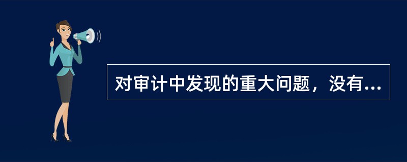 对审计中发现的重大问题，没有明确的审计标准的，应当（  ）。