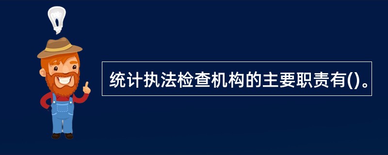 统计执法检查机构的主要职责有()。