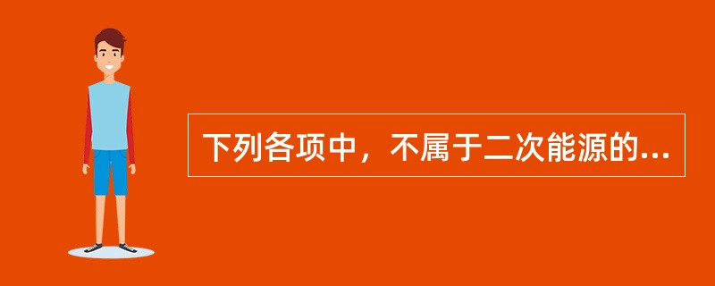 下列各项中，不属于二次能源的是()。