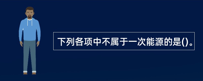 下列各项中不属于一次能源的是()。