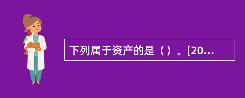 下列属于资产的是（）。[2017年初级真题]