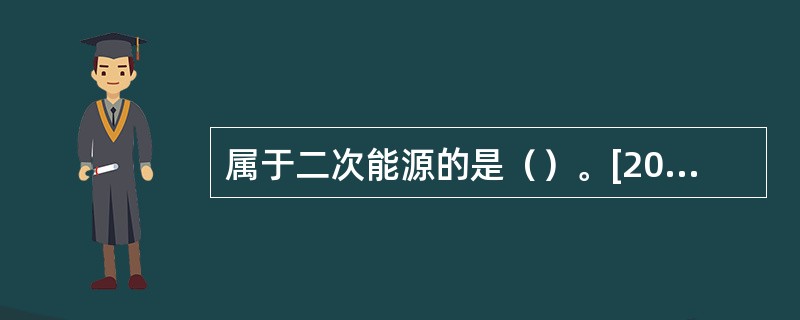 属于二次能源的是（）。[2017年初级真题]