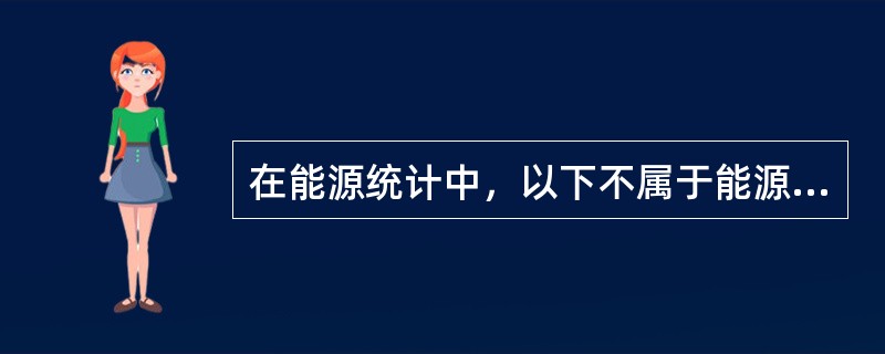 在能源统计中，以下不属于能源购进计算条件的是（）。[2017年、2013年初级真题]