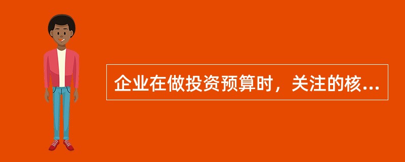 企业在做投资预算时，关注的核心事项是（）。