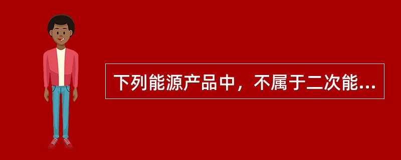 下列能源产品中，不属于二次能源的是（　　）。