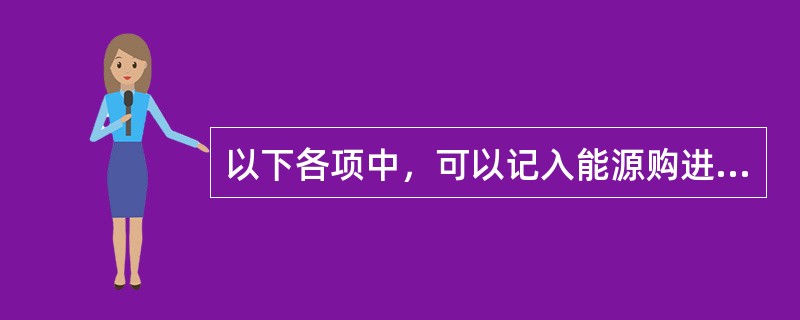 以下各项中，可以记入能源购进量的是（　　）。