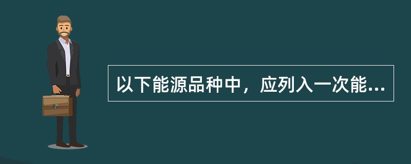 以下能源品种中，应列入一次能源的是（　　）。[2008年初级真题]