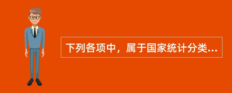 下列各项中，属于国家统计分类标准的是（　　）。