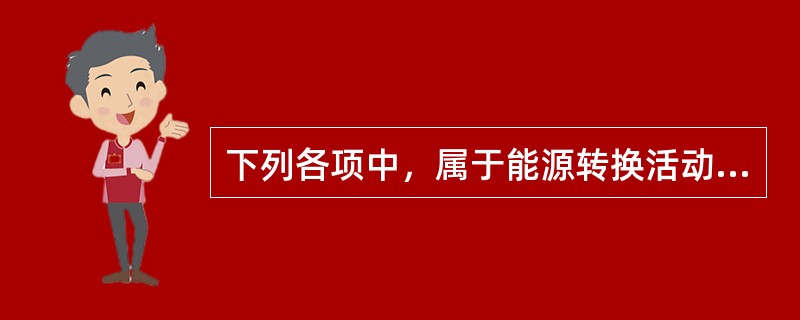 下列各项中，属于能源转换活动的是（）。