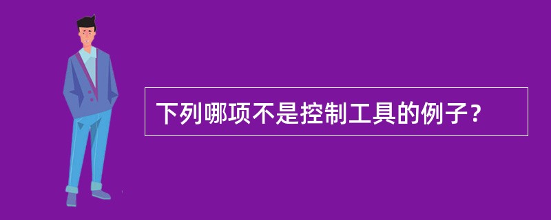 下列哪项不是控制工具的例子？