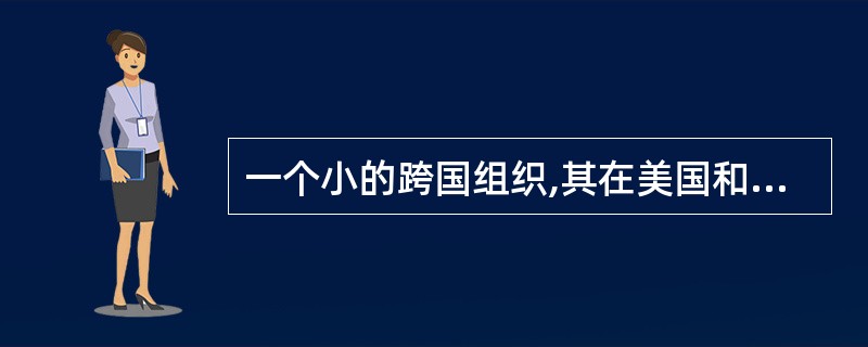 一个小的跨国组织,其在美国和西欧的业务雇佣一位新的首席审计执行官（CAE)。在与审计委员会进行信息化讨论时，CAE认为组织缺少一个正式的风险管理框架。在制定该组织以基于风险的规划时，CAE应？