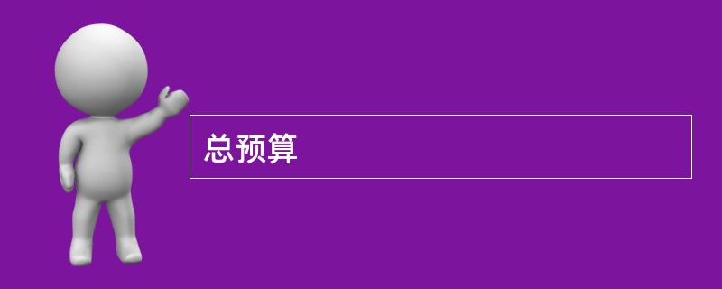 总预算