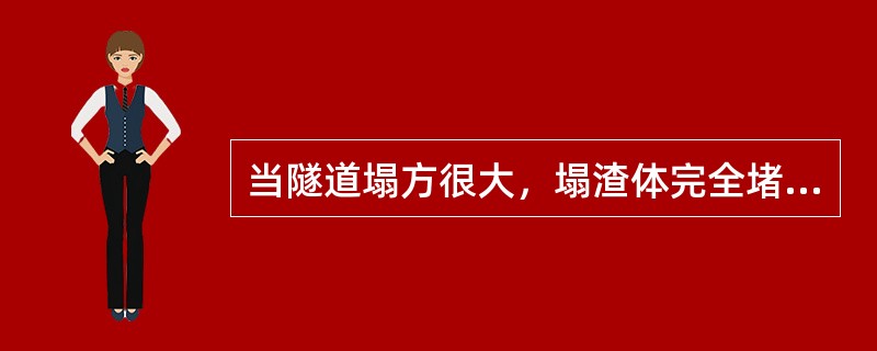 当隧道塌方很大，塌渣体完全堵死洞身时宜采取（）。
