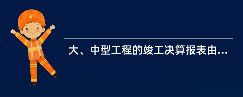 大、中型工程的竣工决算报表由（）组成。