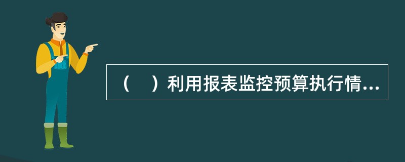 （　）利用报表监控预算执行情况，及时提供预算执行进度、执行差异信息。