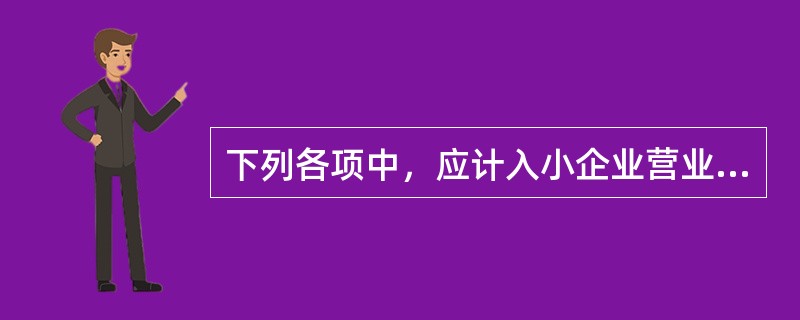 下列各项中，应计入小企业营业外支出的有（　）。