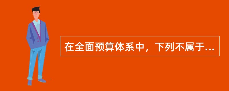 在全面预算体系中，下列不属于总预算内容的是（）。