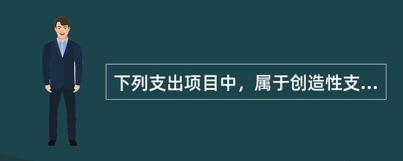 下列支出项目中，属于创造性支出的是（　）。