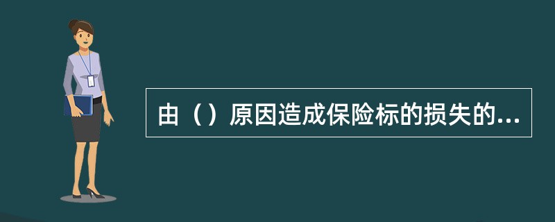 由（）原因造成保险标的损失的，保险人不负赔偿责任。