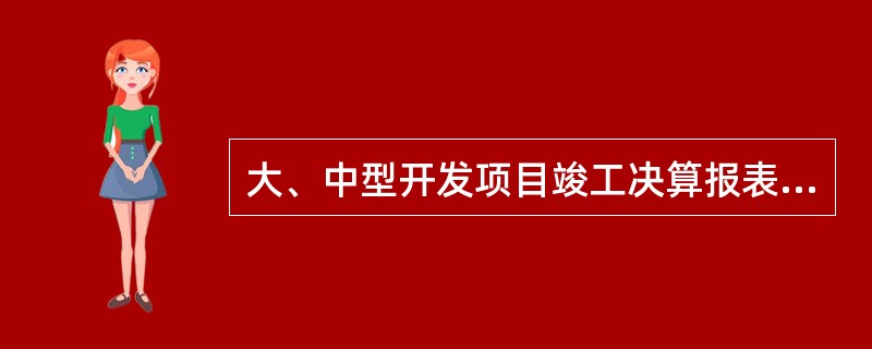 大、中型开发项目竣工决算报表包括（）。