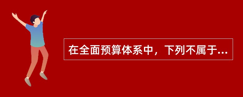 在全面预算体系中，下列不属于总预算内容的是（）。