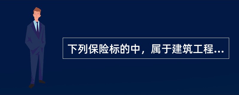 下列保险标的中，属于建筑工程保险主要保险项目的是（　　）。