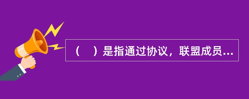 （　）是指通过协议，联盟成员共同生产制造某种产品，以实现单个企业无法达到的规模经济。