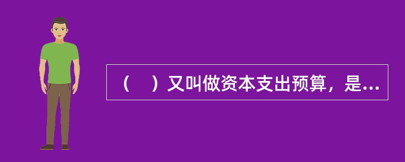 （　）又叫做资本支出预算，是非常规的预算。