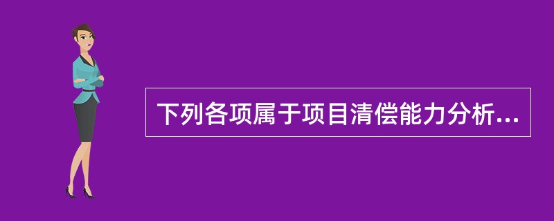 下列各项属于项目清偿能力分析指标的有（　　）。