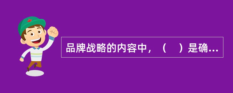 品牌战略的内容中，（　）是确立品牌的内涵，也就是企业希望消费者认同的品牌形象，是品牌战略的重心。