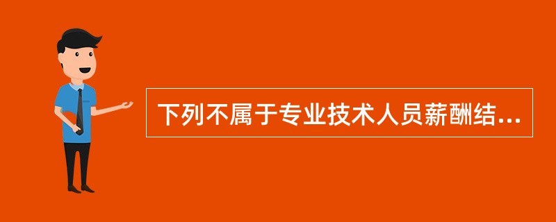 下列不属于专业技术人员薪酬结构的是()。