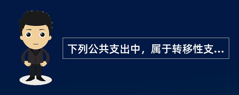 下列公共支出中，属于转移性支出的有（）。