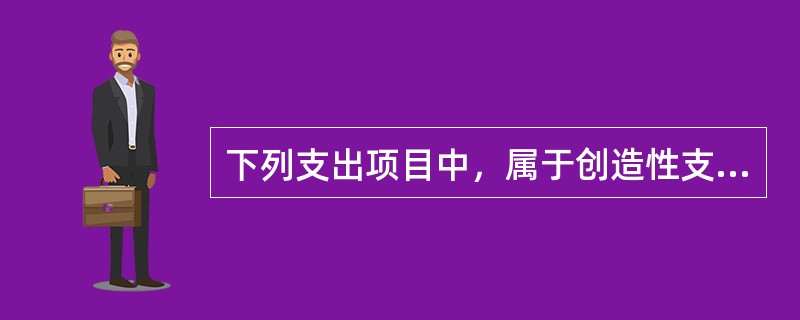 下列支出项目中，属于创造性支出的是（　）。