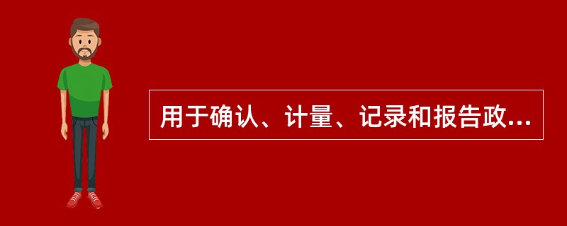 用于确认、计量、记录和报告政府会计主体财务收支活动及其受托责任履行情况的会计体系称为（　）。