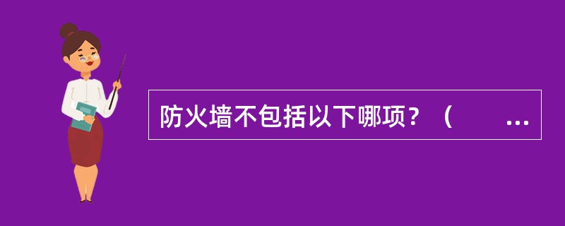 防火墙不包括以下哪项？（　　）[2010年中国工商银行真题]