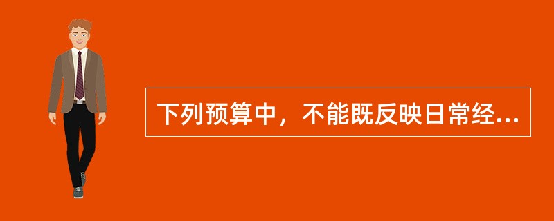 下列预算中，不能既反映日常经营活动又反映相关现金收支内容的是（　　）。[中国人民银行真题]