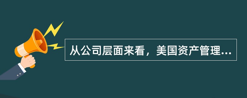 从公司层面来看，美国资产管理机构不包括( )。