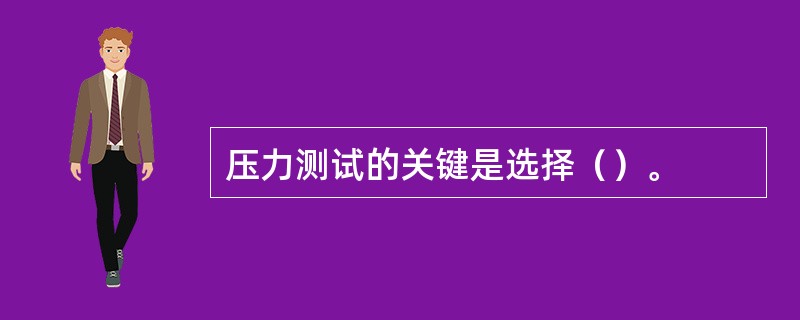 压力测试的关键是选择（）。