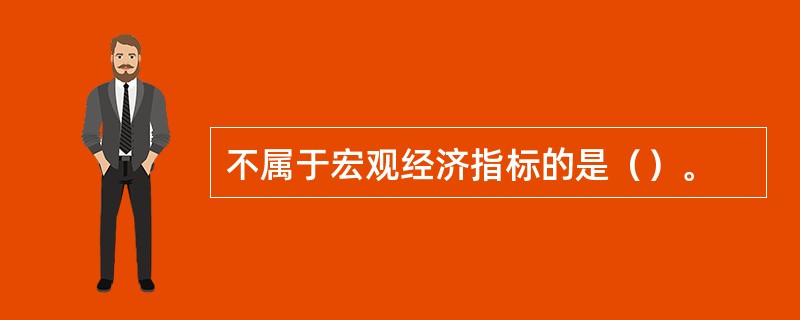 不属于宏观经济指标的是（）。