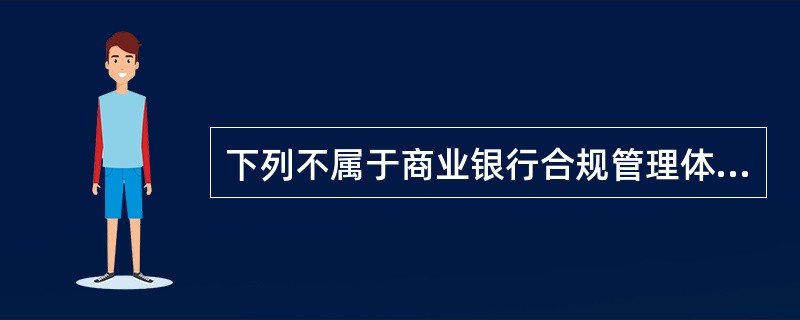 下列不属于商业银行合规管理体系基本要素的是（　　）。