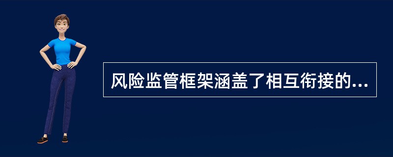 风险监管框架涵盖了相互衔接的、循环往复的监管步骤，主要包括（　　）等。