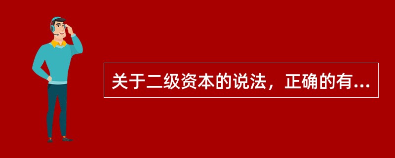 关于二级资本的说法，正确的有（　）。