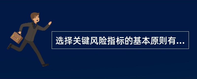 选择关键风险指标的基本原则有（　　）。