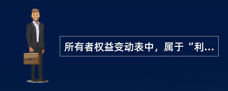 所有者权益变动表中，属于“利润分配”科目项上内容的是（　　）。 