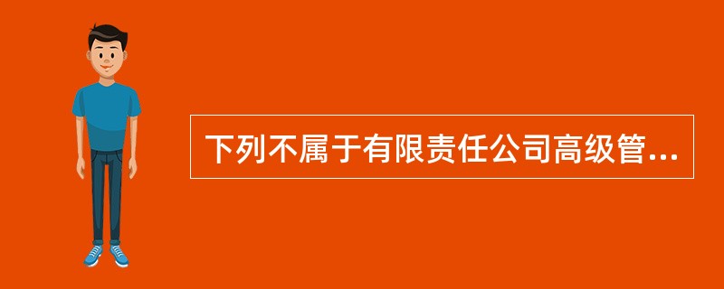 下列不属于有限责任公司高级管理人员的是()。