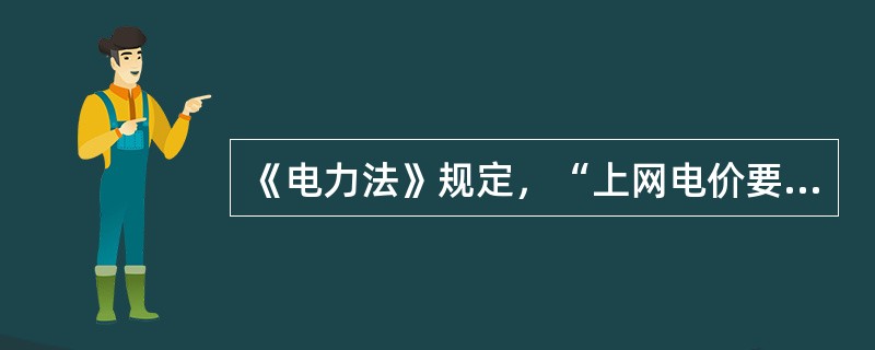 《电力法》规定，“上网电价要（）、依法计入税金”。