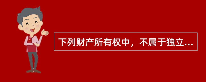 下列财产所有权中，不属于独立财产所有权类型的是（）。