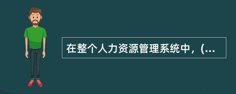 在整个人力资源管理系统中，()是一个组织人力资源管理工作的重要基础或平台，是其它各项人力资源管理职能有效进行的前提。