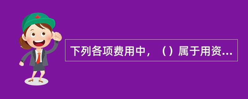 下列各项费用中，（）属于用资费用。